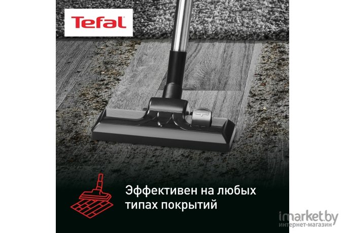 Пылесос Tefal TW3786RA