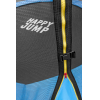 Батут Happy Jump Pro 10 ft-312 см с защитной сеткой и лестницей