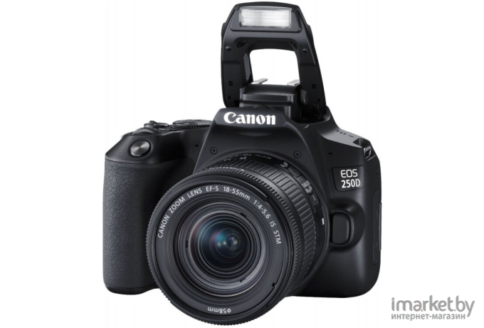 Фотоаппарат Canon EOS 250D Kit EF-S 18-55mm IS STM черный [3454C002]