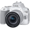 Фотоаппарат Canon EOS 250D Kit EF-S 18-55mm IS STM белый [3458C001]