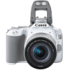 Фотоаппарат Canon EOS 250D Kit EF-S 18-55mm IS STM белый [3458C001]