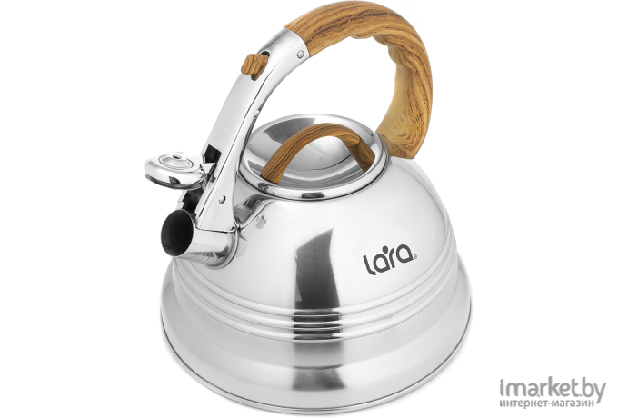 Чайник Lara LR00-68