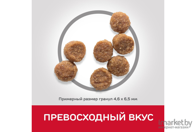 Корм для собак Hills Science Plan Adult Small & Miniature Sensitive Stomach & Skin 1.5кг