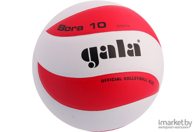Волейбольный мяч Gala Bora 10 [BV5671S]