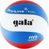 Волейбольный мяч Gala Pro-Line 10 [BV5881SA]