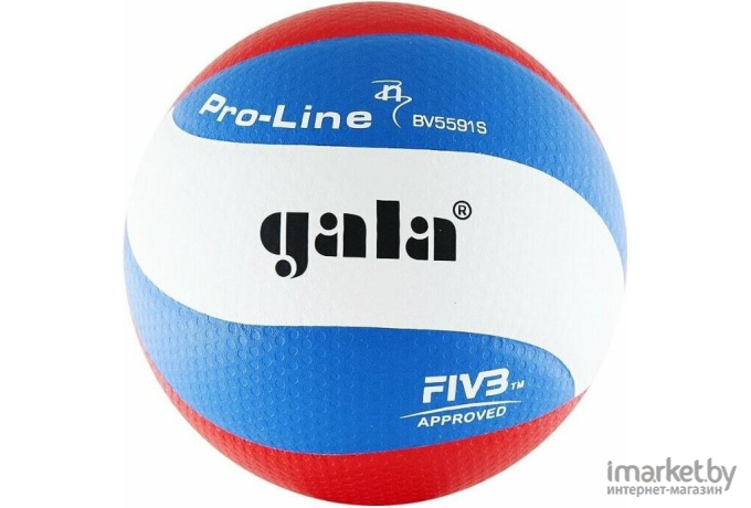 Волейбольный мяч Gala Pro-Line 10 [BV5881SA]