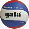 Волейбольный мяч Gala Pro-Line 10 [BV5881SA]