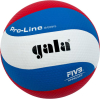 Волейбольный мяч Gala Pro-Line 10 [BV5881SA]