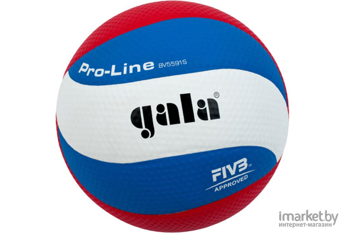 Волейбольный мяч Gala Pro-Line 10 [BV5881SA]