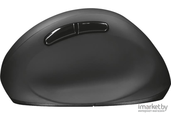 Мышь Trust Orbo Wireless Ergonomic [23002]