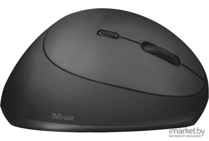 Мышь Trust Orbo Wireless Ergonomic [23002]