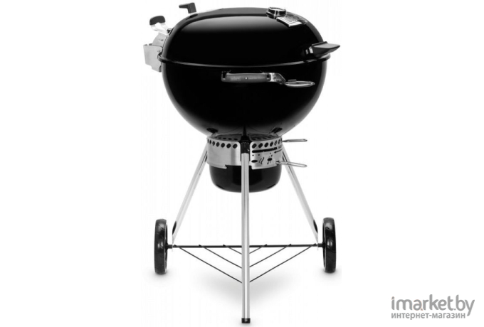 Гриль-барбекю Weber Master-Touch Premium E-5770 черный [17301004]