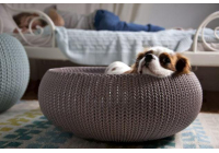 Curver cozy pet bed best sale