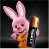 Зарядное DURACELL LR03 MN2400 AAA 4BP