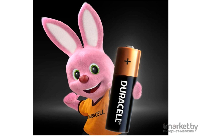 Зарядное DURACELL LR03 MN2400 AAA 4BP