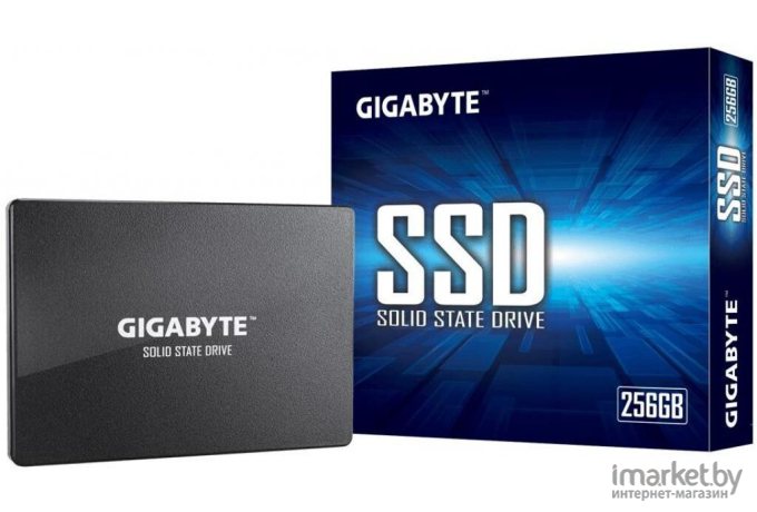 SSD диск Gigabyte GP-GSTFS31256GTND 256 GB