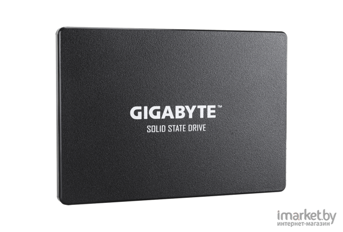 SSD диск Gigabyte GP-GSTFS31100TNTD 1 TB