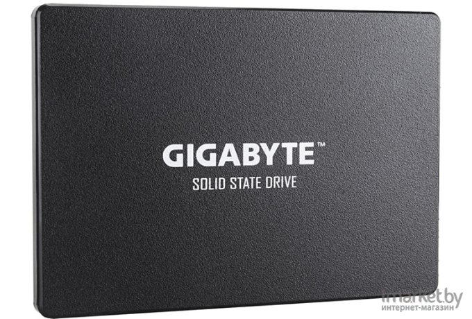 SSD диск Gigabyte GP-GSTFS31100TNTD 1 TB