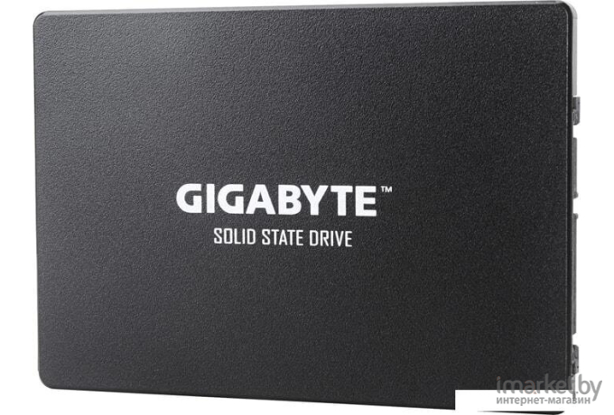 SSD диск Gigabyte GP-GSTFS31100TNTD 1 TB