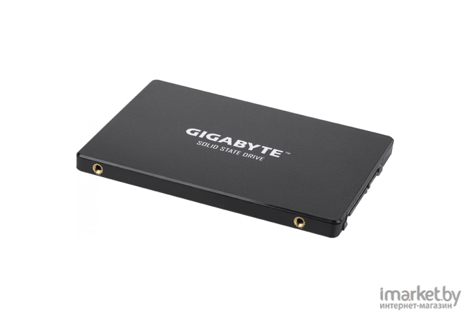 SSD диск Gigabyte GP-GSTFS31100TNTD 1 TB