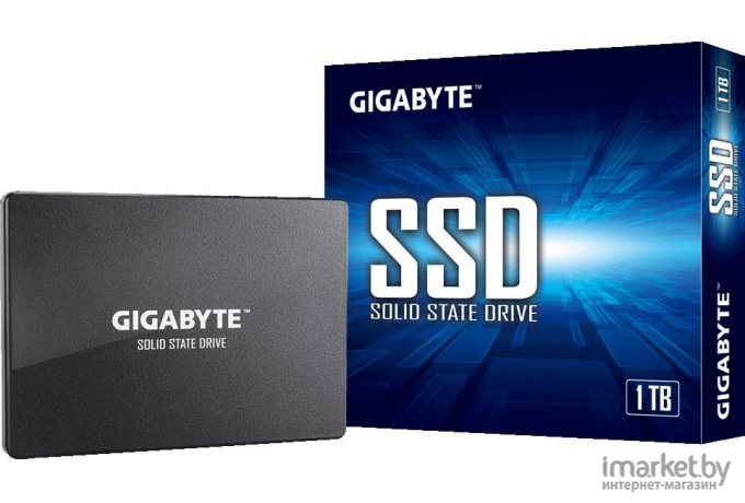 SSD диск Gigabyte GP-GSTFS31100TNTD 1 TB