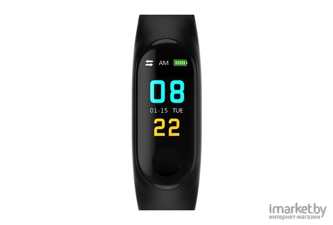 Фитнес-браслет Smarterra FitMaster Color TFT черный (SMFT-C01B)