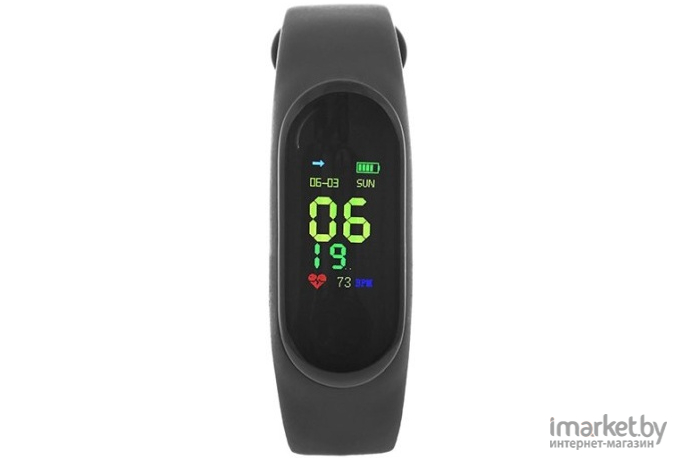 Фитнес-браслет Smarterra FitMaster Color TFT черный (SMFT-C01B)