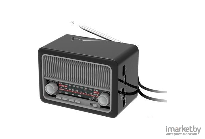 Радиоприемник Ritmix RPR-035 Silver