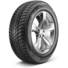 Автомобильные шины Nexen Winguard Ice Plus 195/55R15 89T