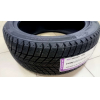 Автомобильные шины Nexen Winguard Ice Plus 195/55R15 89T