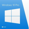 Лицензия Microsoft Windows 10 PRO 64B ENG 1PK DSP OEI DVD MS [FQC-08929]