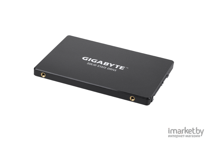 SSD диск Gigabyte 480GB [GP-GSTFS31480GNTD]