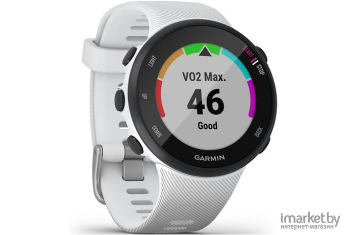 Умные часы Garmin Forerunner 45s белый [010-02156-10]