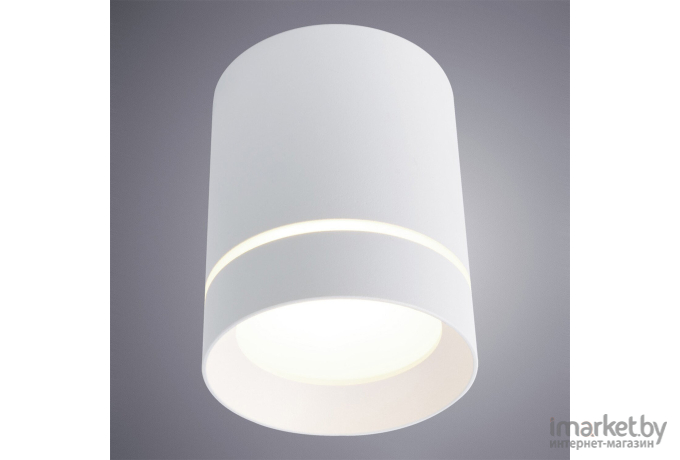 Накладной светильник ARTE Lamp A1909PL-1WH
