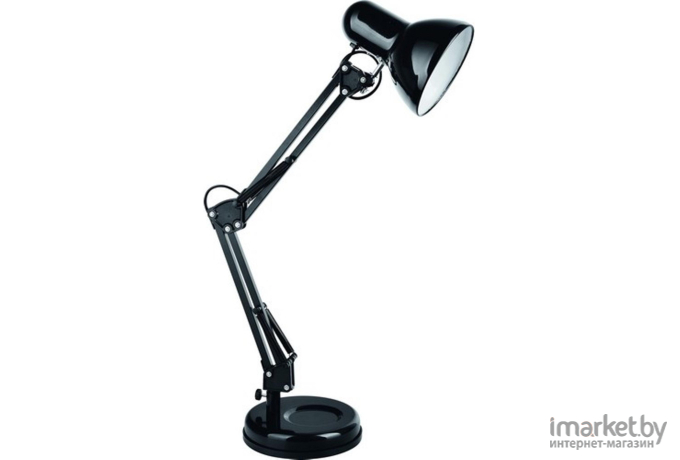  ARTE Lamp A1330LT-1BK