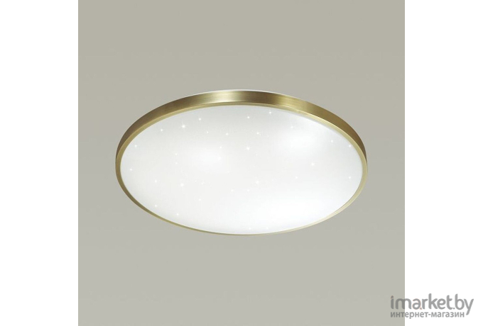 Потолочный светильник Sonex 2089/CL SN 029 св-к LOTA BRONZE пластик LED 28Вт 4000К D340 IP43