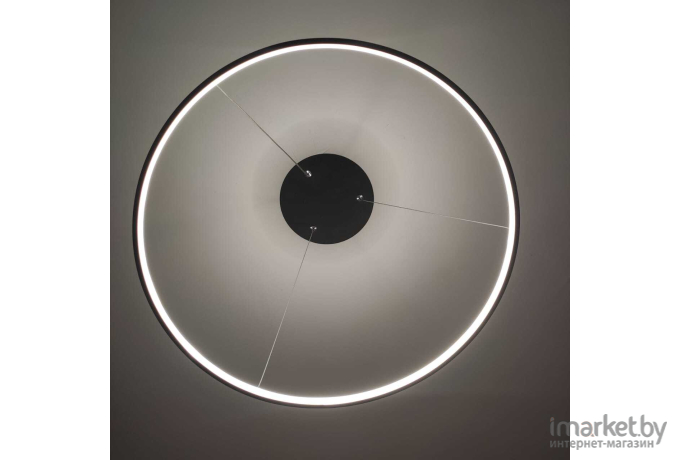 Потолочный подвесной светильник Favourite 1764-6P