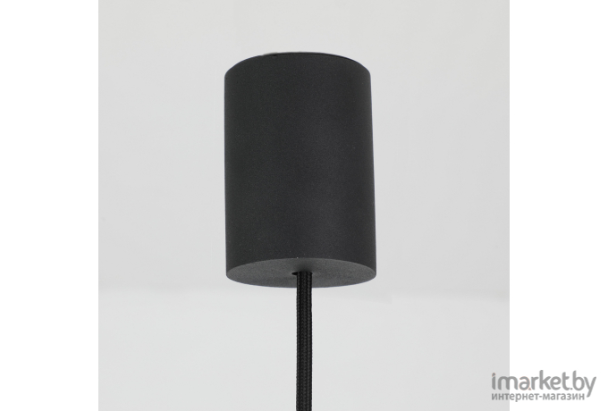 Потолочный подвесной светильник Favourite 2452-1P