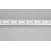  Arlight Лента RSW 2-5000P 24V Cool 10K 2x (3014, 120 LED/m, LUX) [027043]