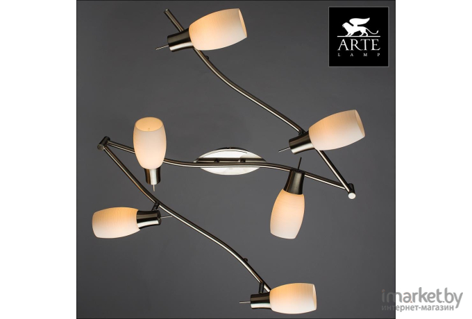 Спот ARTE Lamp A4590PL-6SS