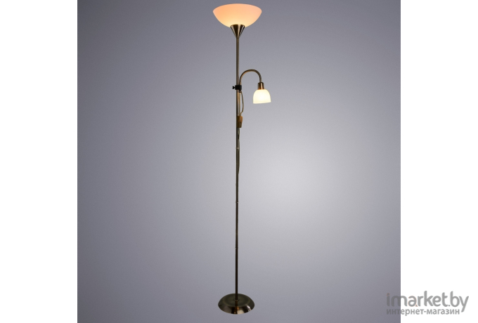 Торшер ARTE Lamp A9569PN-2AB