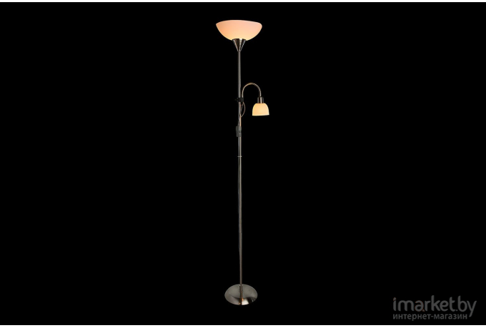 Торшер ARTE Lamp A9569PN-2SS