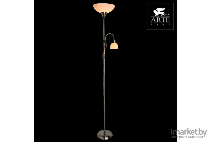 Торшер ARTE Lamp A9569PN-2SS