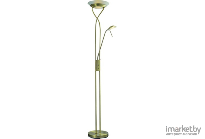 Торшер ARTE Lamp A4399PN-2AB