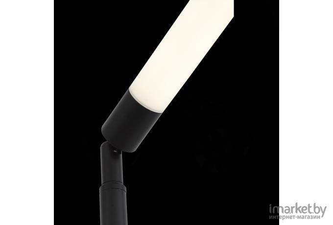 Торшер ST-Luce SL393.405.01 Торшер ST-Luce Черный/Белый LED 1*10W