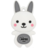 Usb flash Mirex 16GB Rabbit 2.0 серый [13600-KIDRBG16]