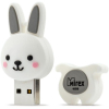 Usb flash Mirex 16GB Rabbit 2.0 серый [13600-KIDRBG16]