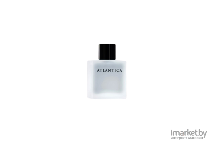 Парфюмерная вода Dilis Parfum Atlantica Silver Moon 100мл