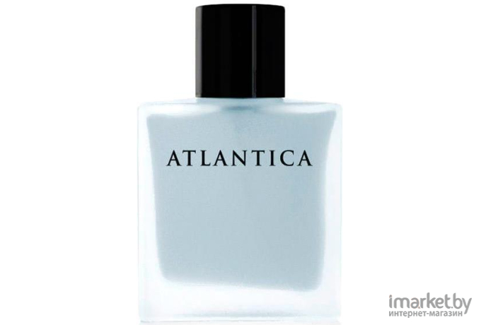 Парфюмерная вода Dilis Parfum Atlantica Silver Moon 100мл