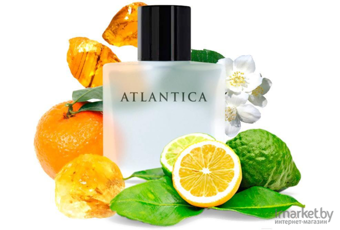 Парфюмерная вода Dilis Parfum Atlantica Silver Moon 100мл